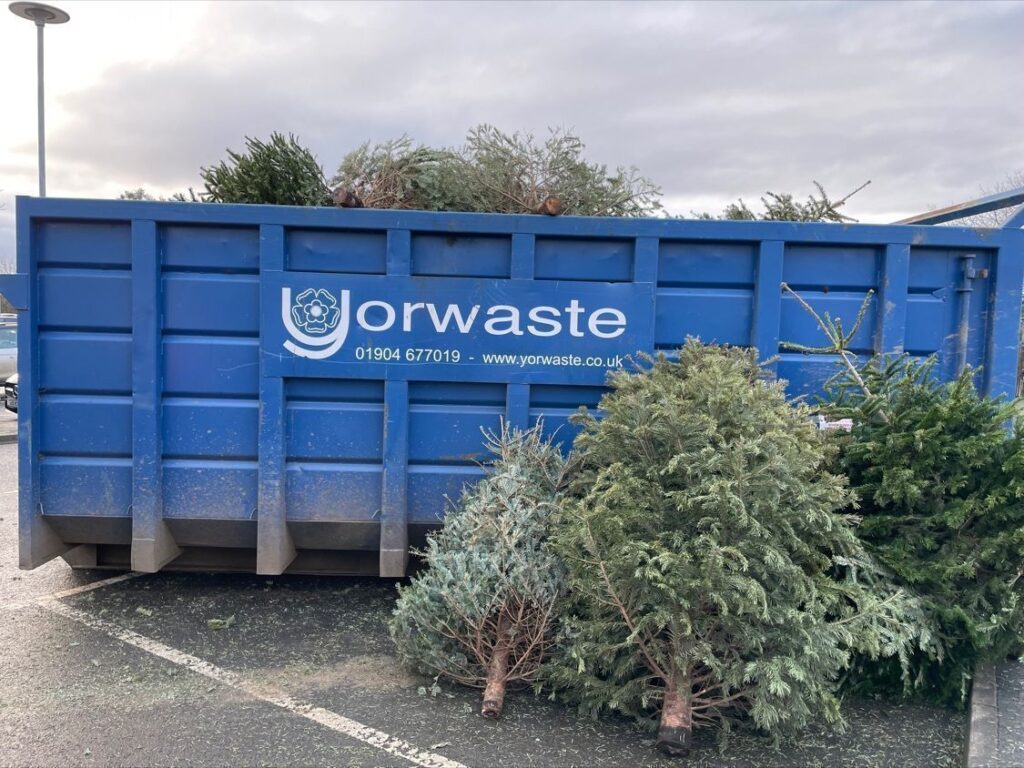 Yorwaste collect Christmas Trees as people donate to York Foodbank